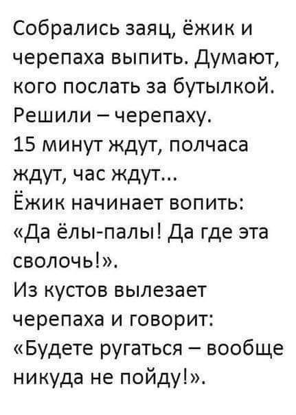 Собрались заяц ёжик и черепаха выпить Думают кого послать за бутылкой Решили черепаху 15 минут ждут полчаса ждут час ждут Ёжик начинает вопить Да ёлы палы Да где эта сволочь Из кустов вылезает черепаха и говорит Будете ругаться вообще никуда не пойду