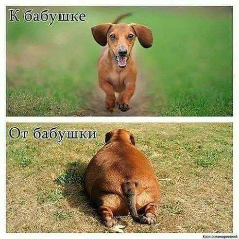 ТК утгкё ттшт