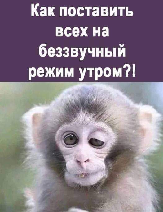 Как поставить всех на беззвучный режим утром