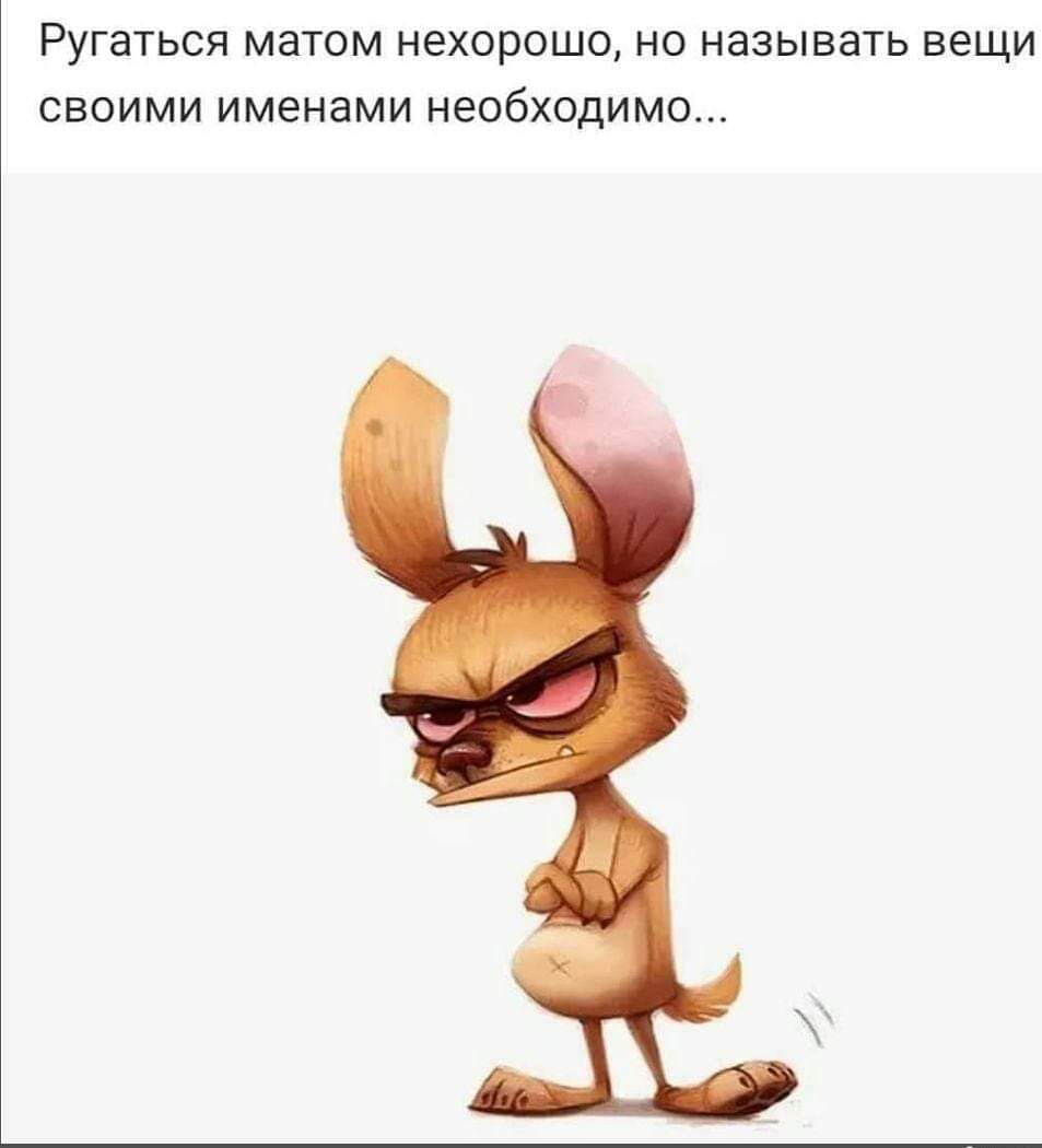 Ругаться матом нехорошо не называть вещи своими именами необходимо