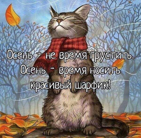 Рё НЬ НСБ