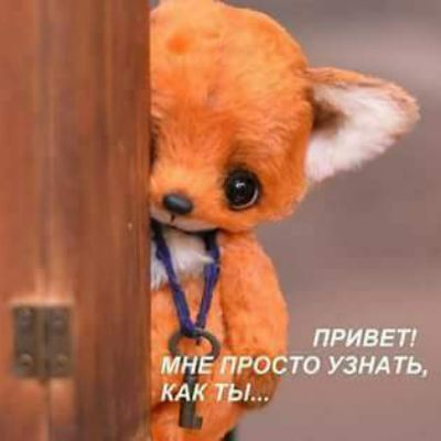 ПРИВЕТ ТО УЗНА ТЬ