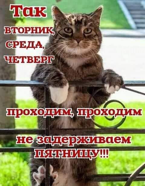 проходим 51