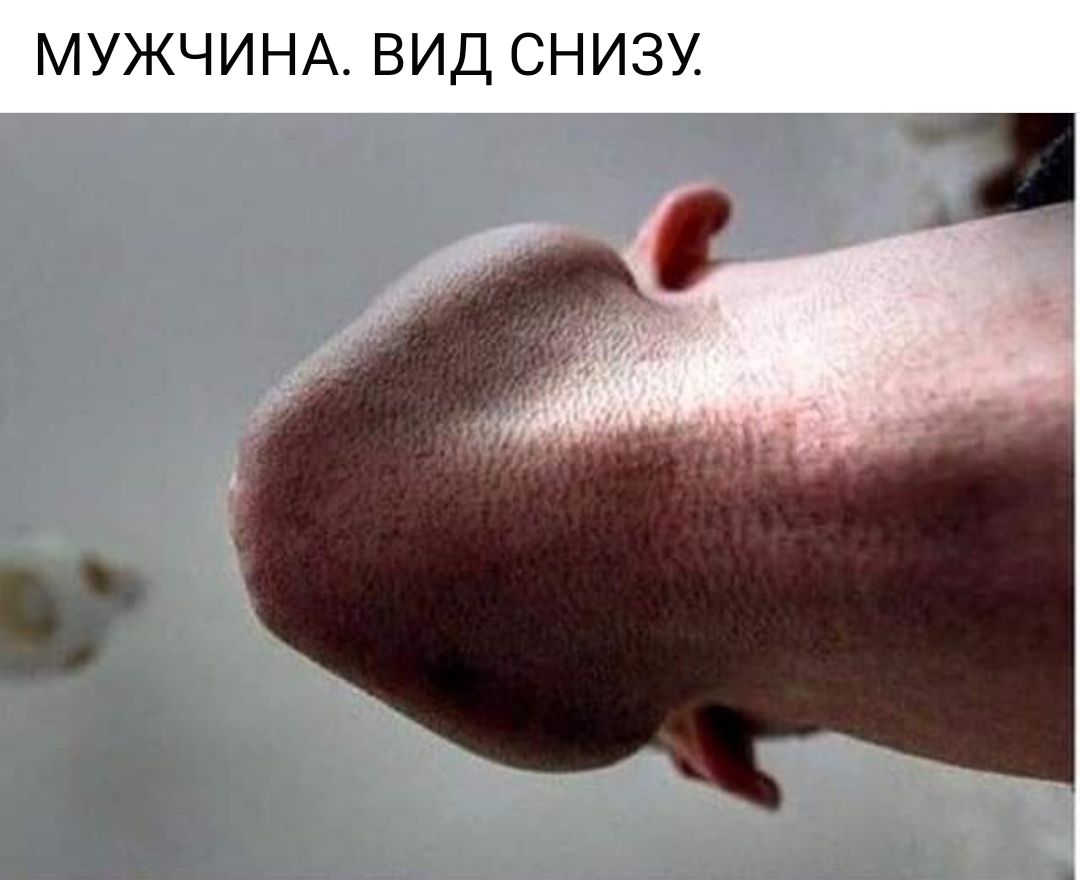 МУЖЧИНА ВИД СНИЗУ