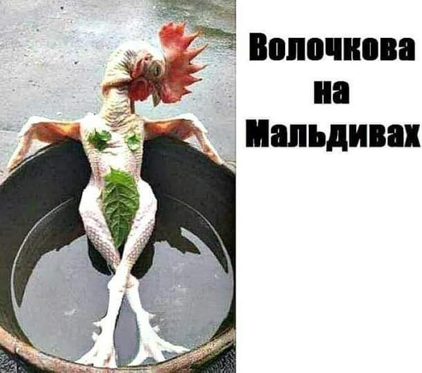 73 Воно ина