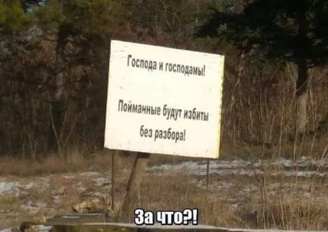 Гасана шшаии Пдиизиинебулуддіь іеэшща