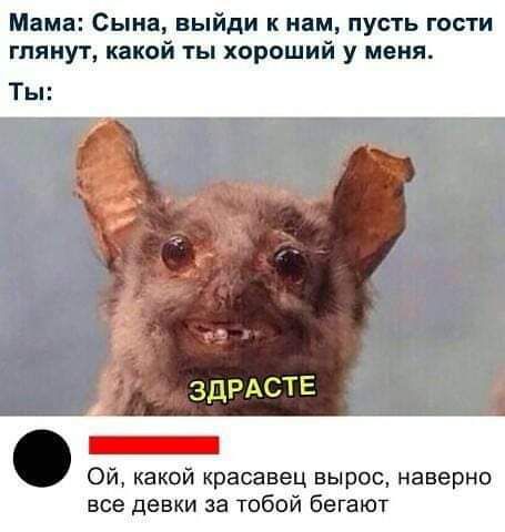 Мама Сына выйди к нам пусть гости гпяиут какой ты хороший у меня Ты Ой какой красавец вырос наверно все девки за тобой бегают
