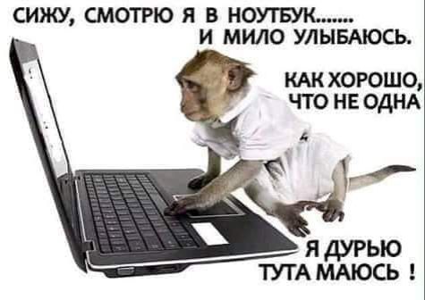 СИЖУ СМОТРЮ Я В НОУТБУКм И МИЛО УЛЫБАЮСЬ КАКХОРОШО ЧТО НЕ ОДНА