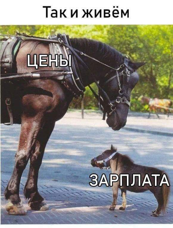 Такиживём