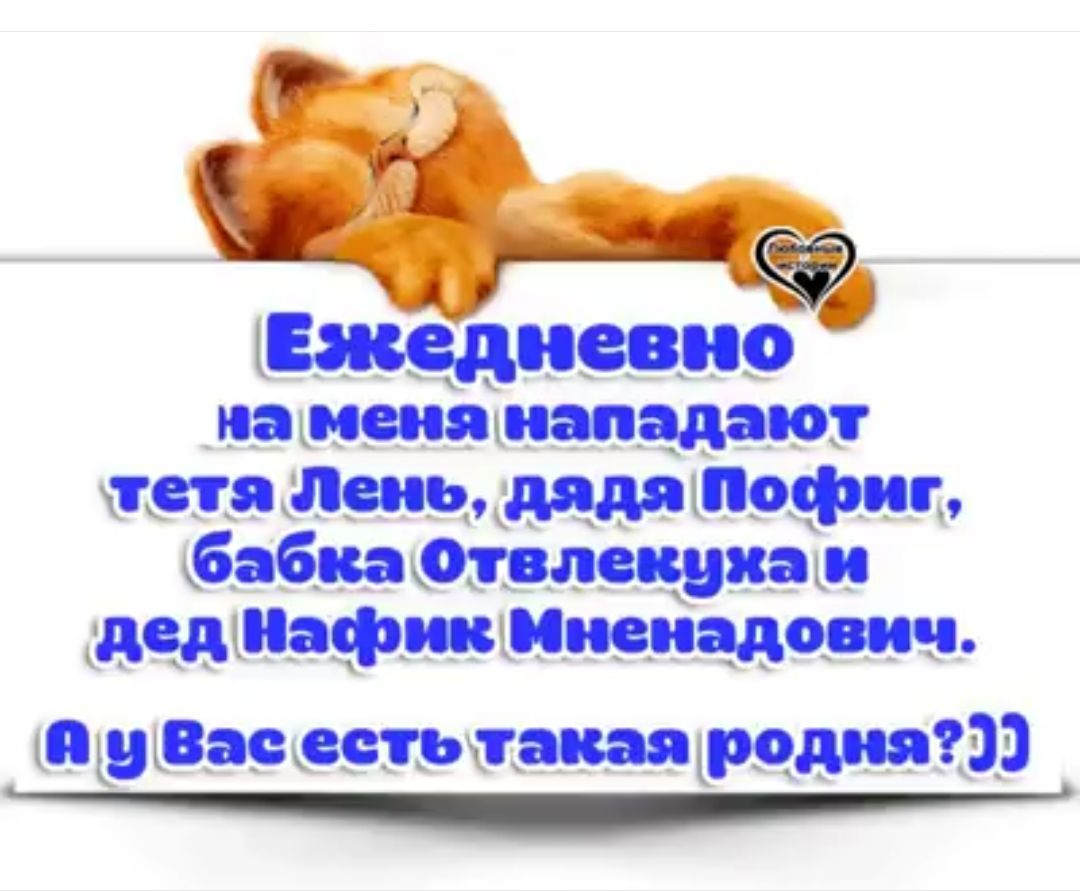 хщпевпо на наш тн поиь Пофиг бэби дод Мафии Мисима пц низяевттшядрошш