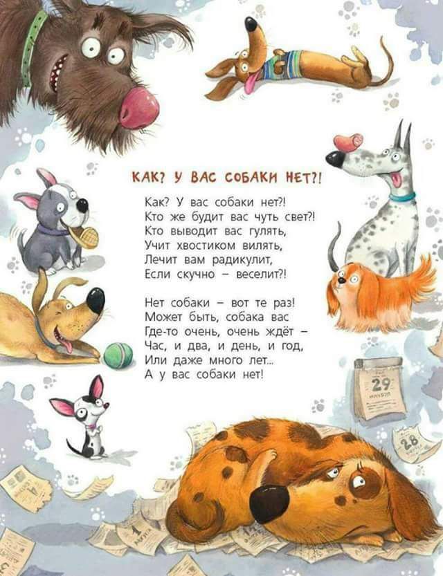 КАН у не самки шп Кан у собаки на Кт же бали чучь к пыюдт ш м юм мм печ пм рідикупиі Если ю женит нет шёаки се раз Ъ Мии бти ше гшыо очень ичеиь Хде 1 чк и дна и пены и тд Или даже от не А у и сабаки ы