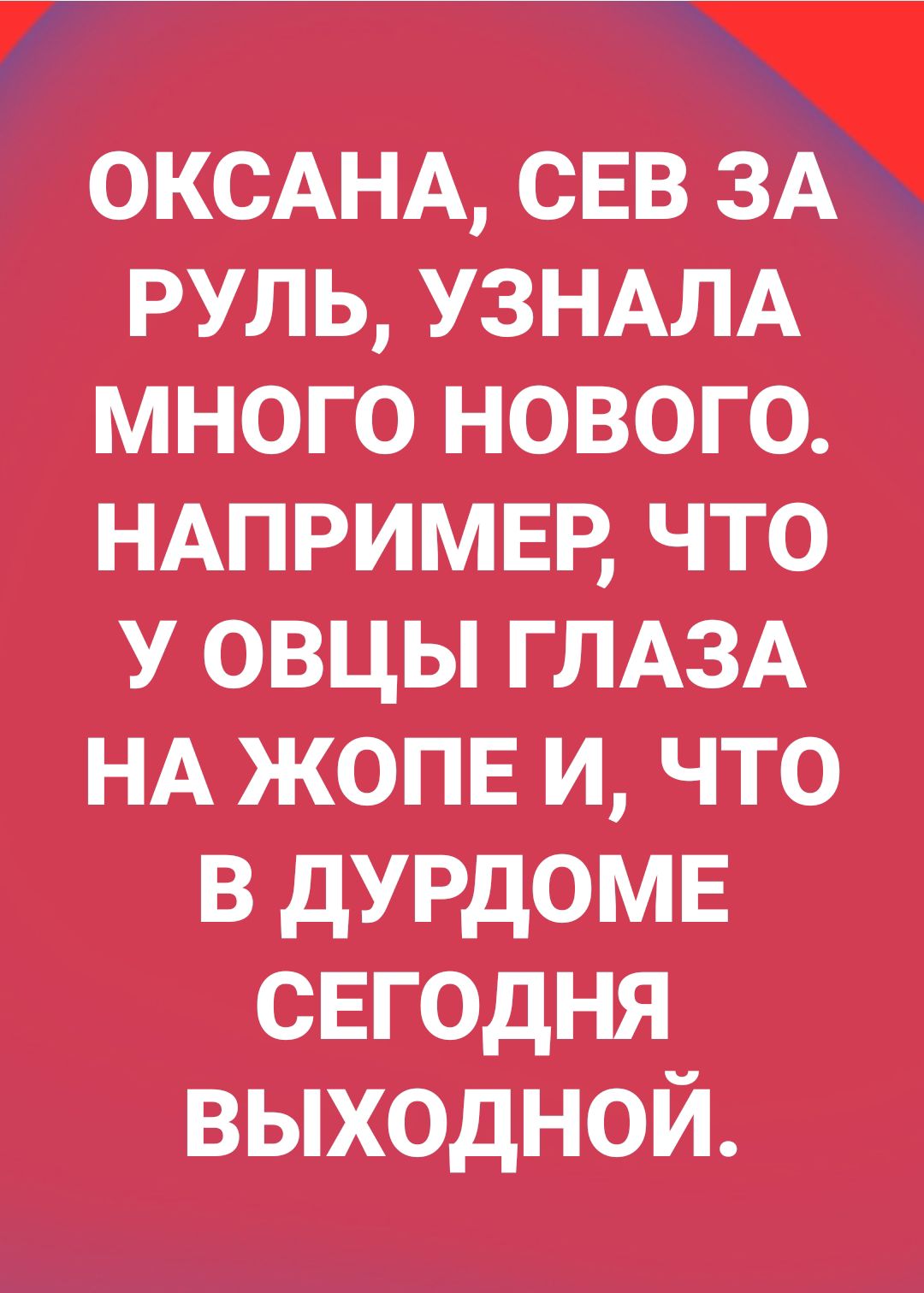 7_ _ ОКСАНА СЕВ ЗА руль УЗНАЛА много нового НАПРИМЕР что У овцы ГЛАЗА НА жопв и что в дурдомв свгодня выходной