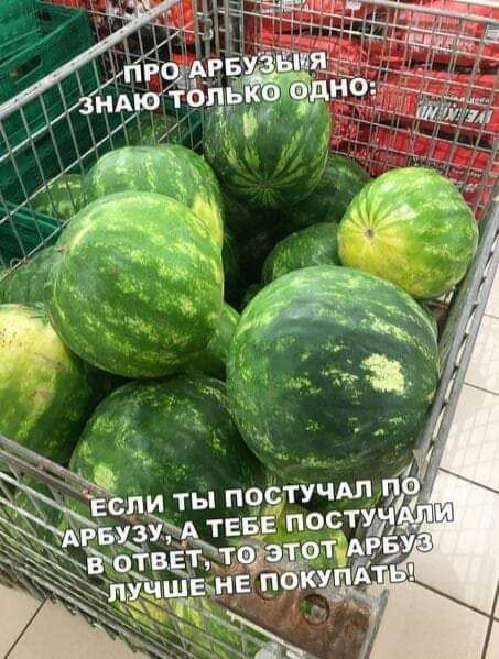 Кьпчятучщг тевг посту нЕт п _