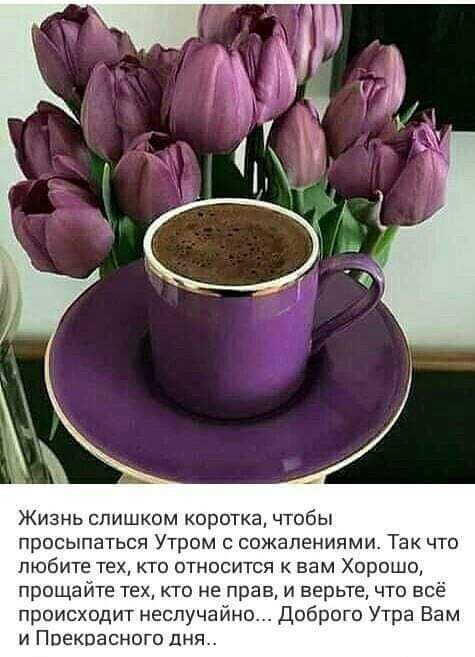 Жизнь слишком коротка чтобы просыпаться Утром сожалениями Так что любите тех кто относится вам Хорошо прощайте техкто не прав и верьте что всё происходит неслучайно Доброго Утра Вам и Прекрасного дня
