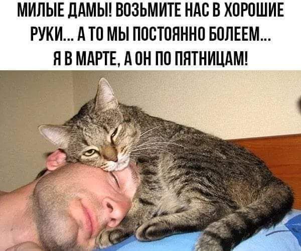 МИПЫЕ ЛАМЫ ВОЗЬМИТЕ НАС В ХОРОШИЕ РУКИ А ТО МЫ ПОСТОЯННО БОЛЕЕМ Я В МАРТЕ А ОН ПО ПЯТНИЦАМ