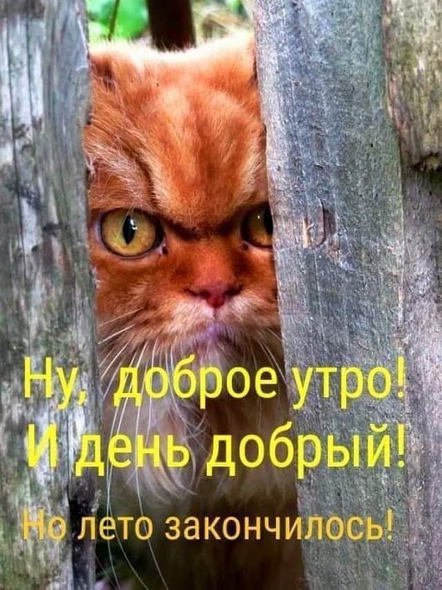 лето закончилось
