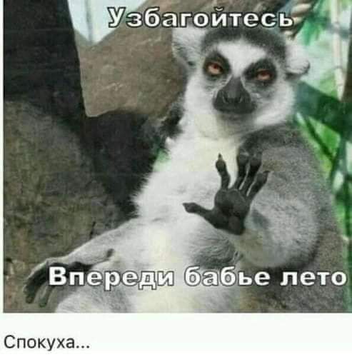 т УЁ агоитесьг Спокуха