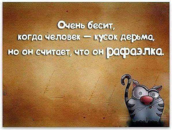 Очень бесит когда человек _ юры дерьма но он пишетчто ощрафаэлщ
