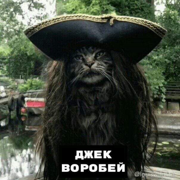 джек воровви