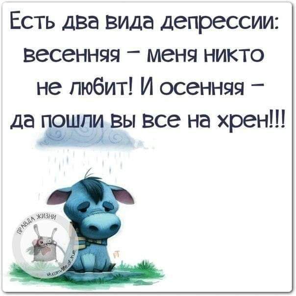 Есть два вида депрессии весенняя меня никто не любит И осенняя да пожал вы все на хрен