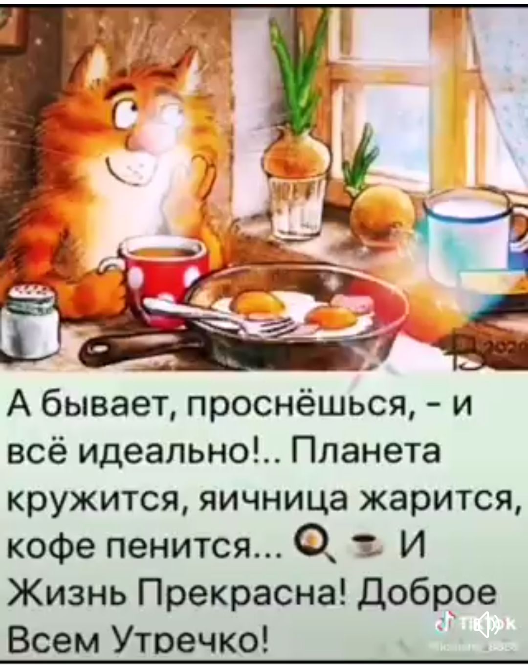 А бывает проснёшься и всё идеально Планета кружится яичница жарится кофе пенится 0 1 И Жизнь Прекрасна доброе Всем Утоечко