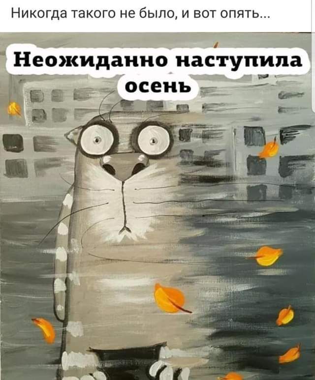 Никогда такого не было и вот опять
