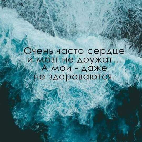 а а _Оненг часто сердце устои ые дружат А мои даже