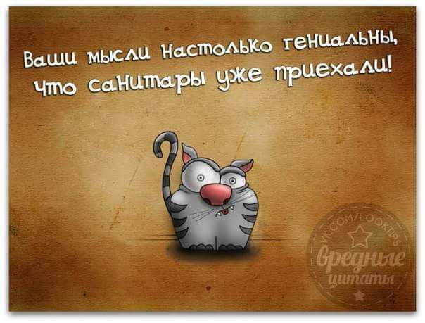 Ваши мыш НастоАЬКо генмдьны