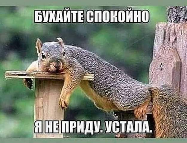 Шпипчтіппип ШЕЕЕцгиршЁтпдд