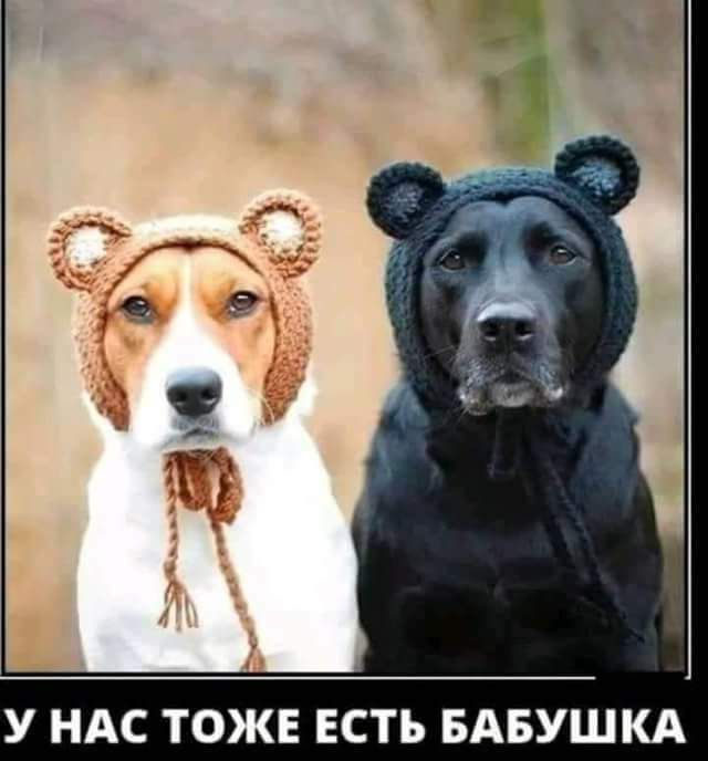У НАС ТОЖЕ ЕСТЬ БАБУШКА