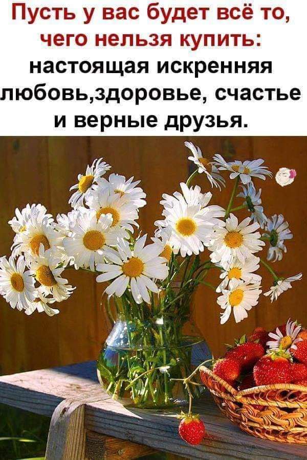 Пусть у вас будет всё то чего нельзя купить настоящая искренняя юбовьздоровье счастье и верные друзья