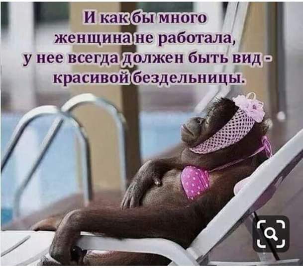 к бы много И ка женщинам работала у нее всегда должен быть вид красивой бездельницы и д