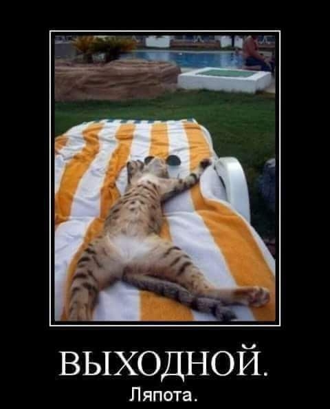 выходной Ляпота
