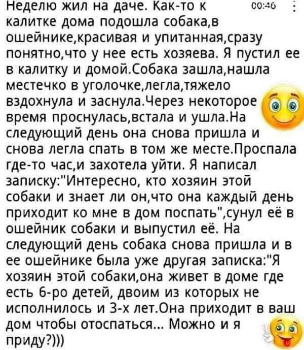 неделю жил на даче как то 0046 калитке дома подошла собакав ошейникекрасивая и упитаннащсразу понятночто у нее есть хозяева Я пустил ее в калитку и домойСобака зашланашла местечко в уголочкепеглатякело вздохнула и заснуладерез некоторое время проснуласьАвстапа и ушлаНа следующий день она снова пришла и снова легла спать в том же местеЛроспала где то час и захотела уйти Я написал записку Интересно 