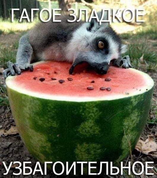 УЗБАГОИТЕЛЬНЩБ