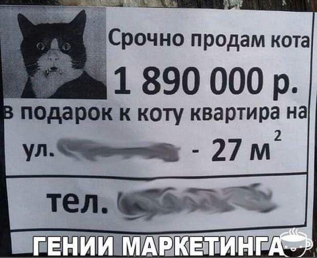 1 890 000 р подарок к коту квартира на
