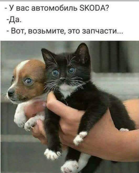 У вас автомобиль ЗКОВА да ВОТ ВОЗЬМИТЁ ЭТО запчасти