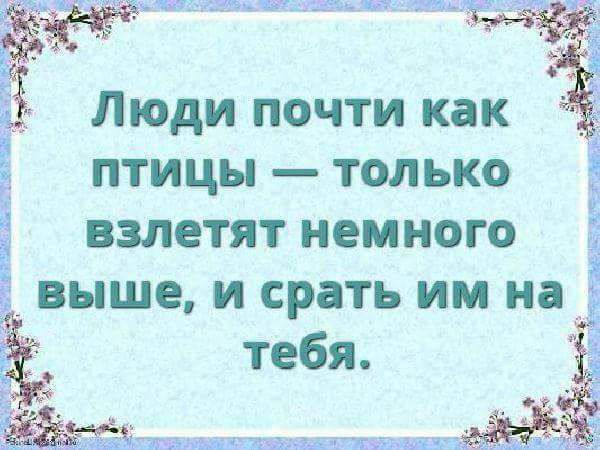 _ шщ Люди почти как Ё птицы только Ё взлетят немного выше и срать им на тебя гщщчтжнсшьщт