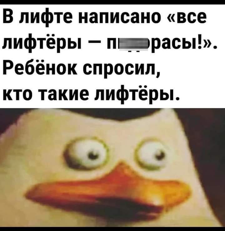 В лифте написано все лифтёры пщрасы Ребёнок спросил кто такие лифтёры