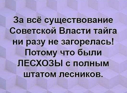 За всё существование Советской Власти тайга ни разу не загорелась Потому что были ПЕСХОЗЫ с полным штатом ПЭСНИКОВ