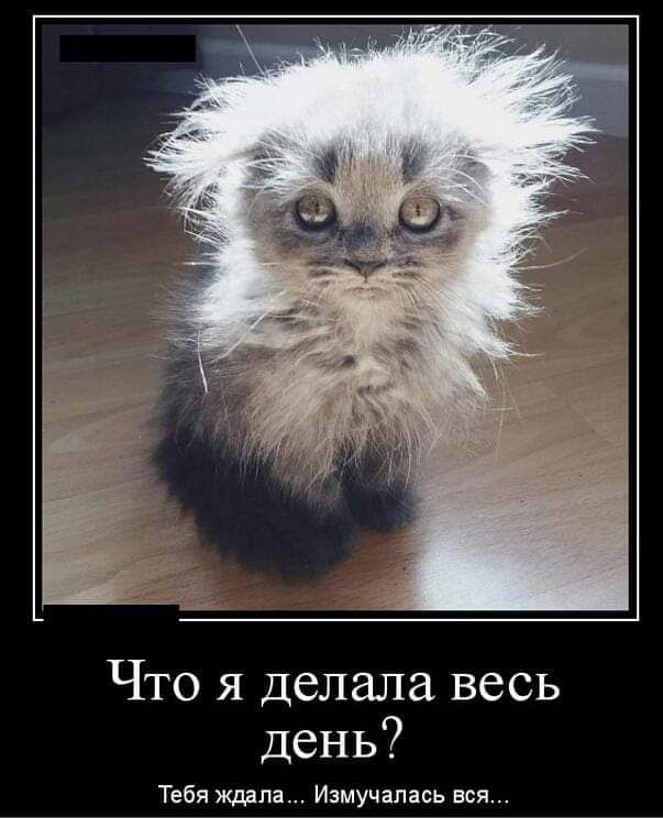 Что я делала весь день Тебя Измучалась вся