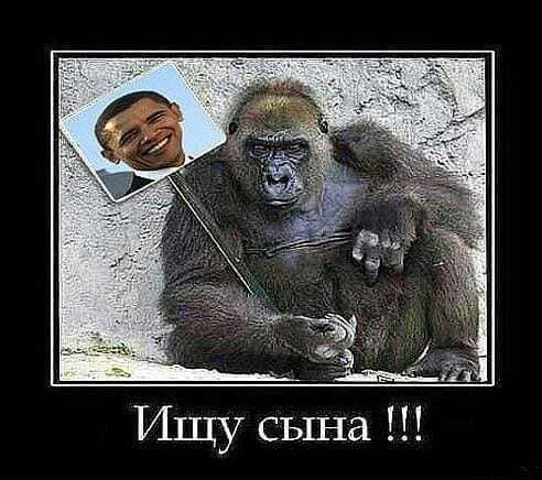 даім Ищусьша П