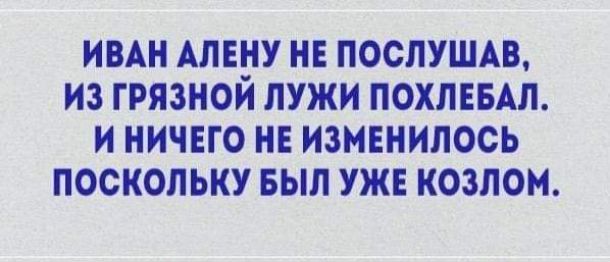 ИВАН АЛЕНУ НЕ ПООПУШАВ ИЗ ГРЯЗНОИ ЛУЖИ ПОХЛЕБАЛ И НИЧЕГО НЕ ИЗМЕНИПОСЬ ПОСКОЛЬКУ БЫЛ УЖЕ КОЗЛОМ