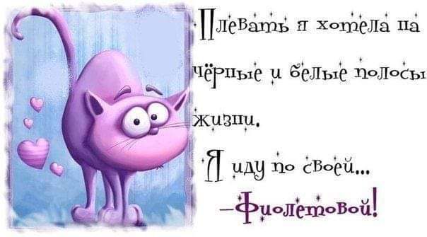 ПлеВёхіц п хотілёлё пё ЁТПЫЁ у ёелые 11Лы П удэ йо 61503311 уолехдомй