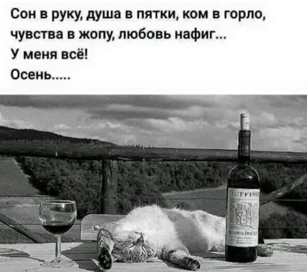 Сон в руку душа пятки ком в горло чувства в жопу любовь нафиг У меня всё Осень