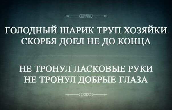 ГОЛОДНЫЙ ШАРИК ТРУП ХОЗЯЙКИ