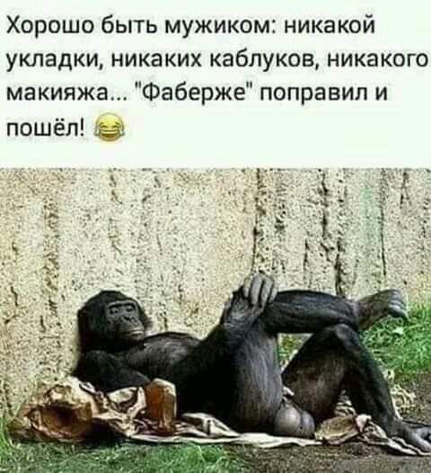 Хорошо быть мужиком никакой УКЛЗДКИ НИКЗКИХ каблуков НИКЗКОГО макияжа Фаберже поправил и пошёл