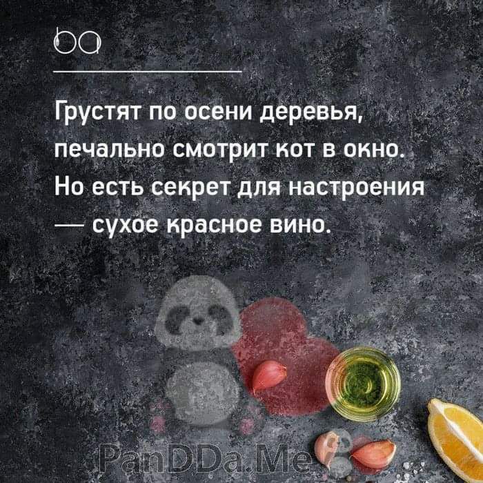ОО Грустят по рвени дёрёаья Печально смитрит кот в отр Но есть еирет для напрЬения сухбе красное вино