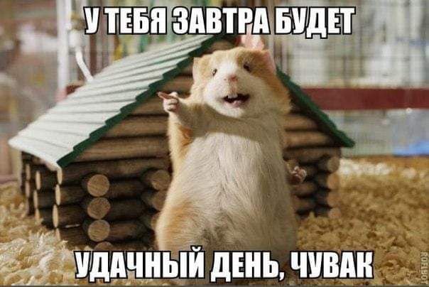 с зд _ азщщый діиьччвпи