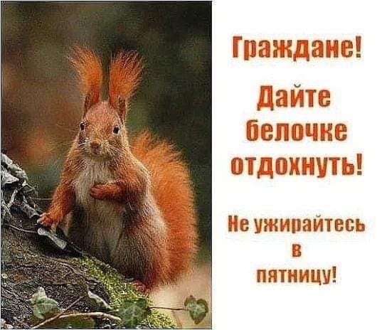 Граждане дайте Белочка ПТДОКИУТЪ УЖМЗЙТВСЪ пятницу